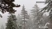Snow blankets Southern California