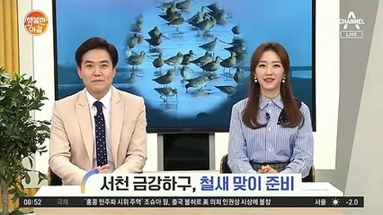 [네트워크 투데이] 서천 금강하류로 몰려든 철새들