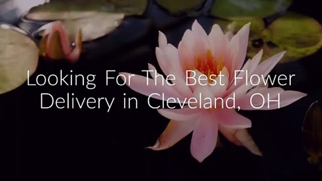 Same Day Flower Delivery Cleveland OH | (216) 485-3772
