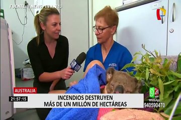 Nueva Zelanda: residentes de varias ciudades fueron sorprendidos por tormenta de granizo
