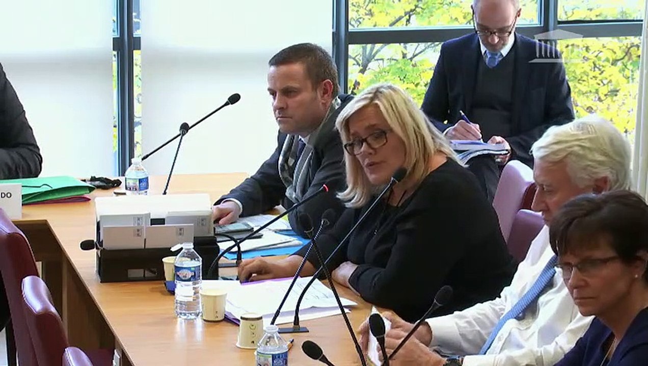 Commission des affaires étrangères : Mme Florence Parly, ministre des armées - Mercredi 20 novembre 2019