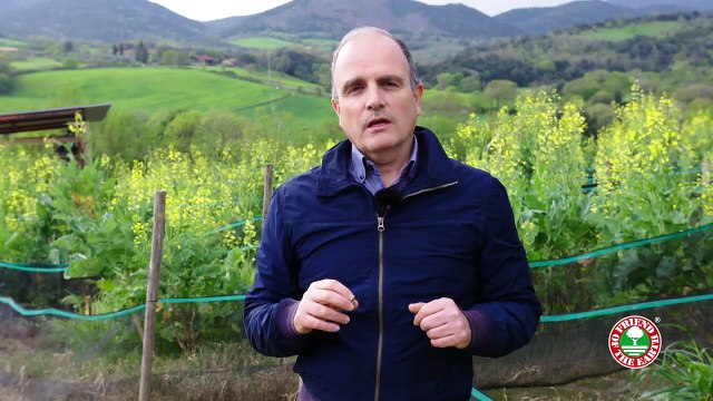 Sustainable agriculture methods - save Italian snails