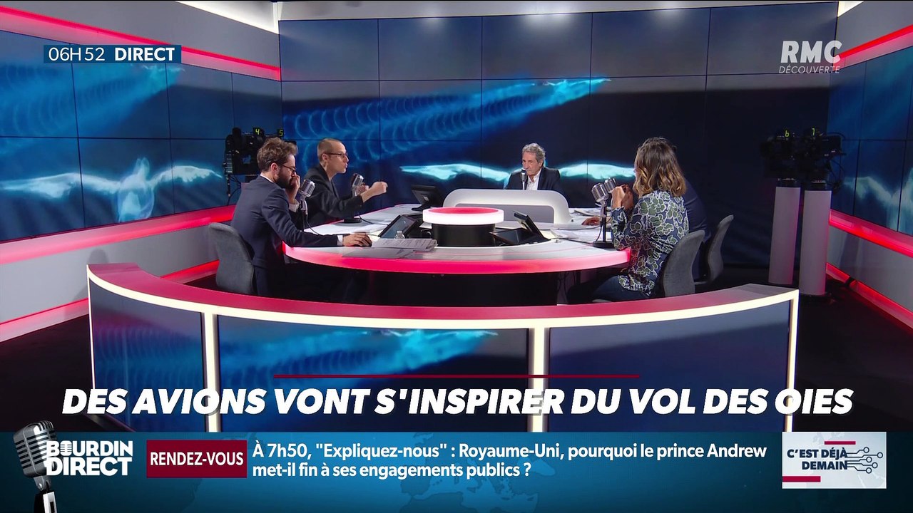 La chronique d'Anthony Morel : Des avions vont s'inspirer du vol des oies - 21/11
