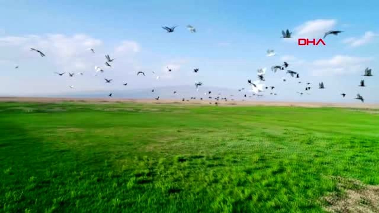 Türkiye'yi çektiği büyüleyici görüntülerle tanıtıyor