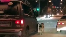 - Komşusuna kızdı, köpeğini buz tutan yolda yürüttü