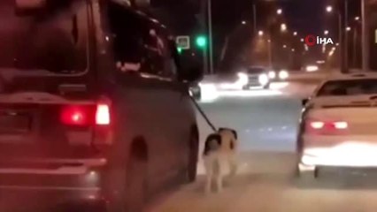- Komşusuna kızdı, köpeğini buz tutan yolda yürüttü