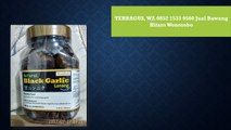 TERBAGUS, WA 0852 1533 9500 Jual Bawang Hitam Wonosobo