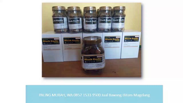 PALING MURAH, WA 0852 1533 9500 Jual Bawang Hitam Magelang