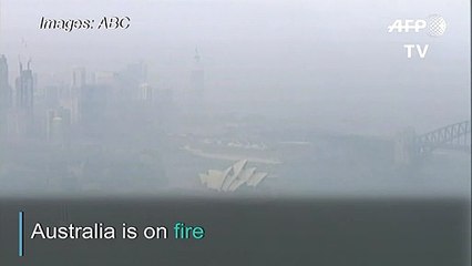 Bushfire haze shrouds Sydney