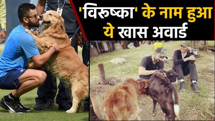 Virat Kohli wins PETA India's 2019 Person Of The Year Award | वनइंडिया हिंदी