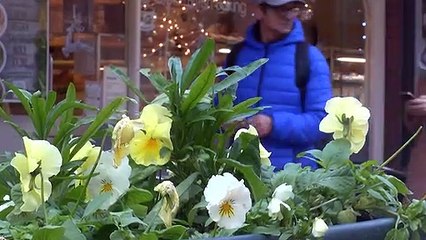 Your Votes in The December General Election!