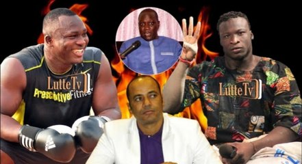 Le Staff de Luc Nicolaï se prononce sur le combat Modou Lô vs Ama Baldé   Luc dinako takhawal...