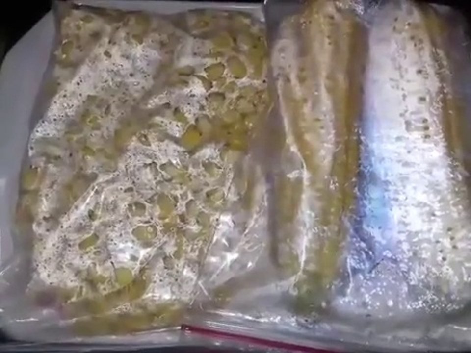 Freeze Sweet Corn For 6 Months _ Preserve Corn _ Store Corn