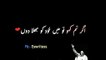 Nusrat fateh ali khan best lyrics - NFAK best Lines - NFAK