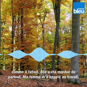 Ecoutez le témoignage du mari de la femme enceinte tué par des morsures de chiens dans l'Aisne