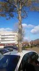 Carro se materializa no meio de um tronco de árvore