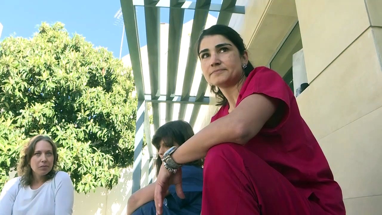 Ronda, imposant dogue de Bordeaux sauvé par une prothèse bionique