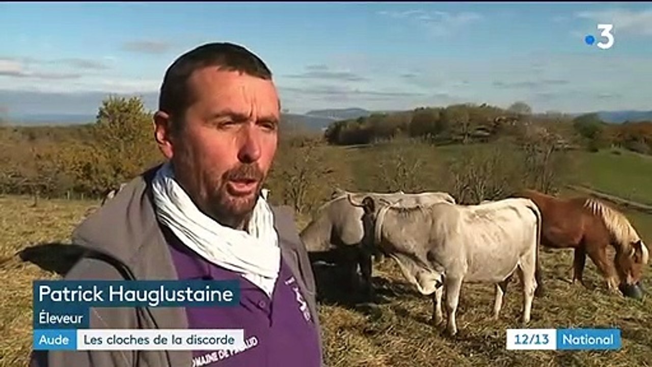 Aude : les cloches de ses vaches font trop de bruit, l'éleveur convoqué par la gendarmerie