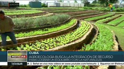 Cuba: Inicia VII Encuentro Internacional de Agroecología