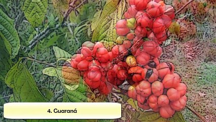 7 ALIMENTOS QUE TE DARÁN MUCHA ENERGÍA - como tener energia y evitar el cansancio