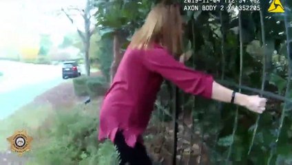 Sans l'aide de cet homme, cette biche n'aurait jamais réussi à se libérer de cette clôture