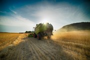 Farming Industry Faces Rising Bankruptcy Filings