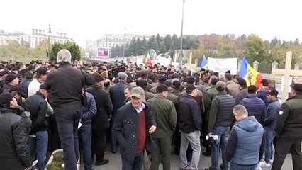 قطع الأشجار تهديد جاثم على الغابات الرومانية وحراسها