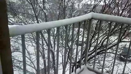 Heavy Snow in Chicago Suburbs (Schaumburg)