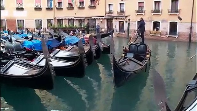Le théâtre de la Fenice à Venise sauvé des eaux