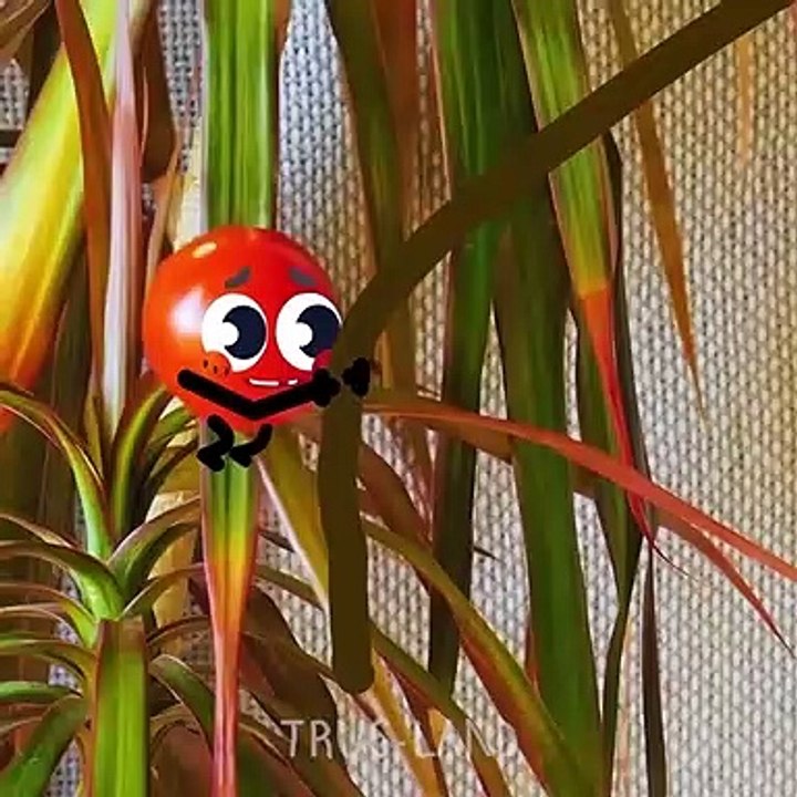 Les merveilleuses choses se préparent pour un voyage excitant – TRUC-LAND