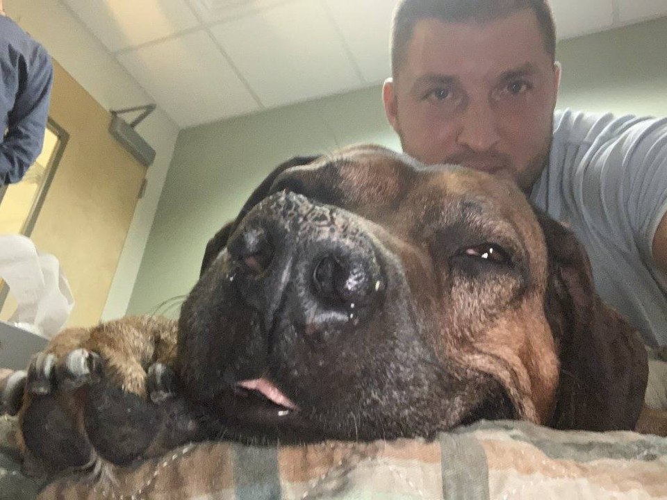 Tim Tebow Posts Heartbreaking Goodbye Video to His Dog