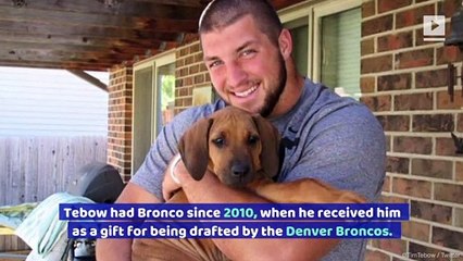 Tim Tebow Posts Heartbreaking Goodbye Video to His Dog