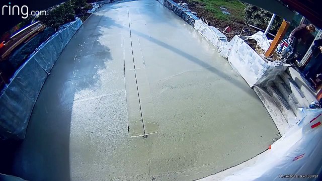 Ce chien est le pire cauchemar de tout ouvrier