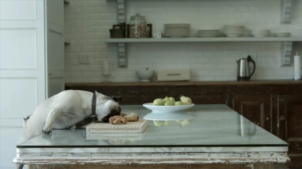 What Stores Are Open on Thanksgiving 2019?