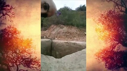 ساعة ⌚ سعيدة لا يمكن شرائها بالمال ⌚ ساعة سعيدة‬