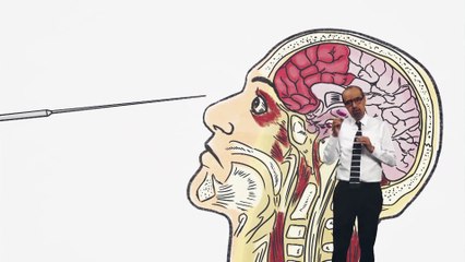 COMPRIMIDOS | Cirugías cerebrales