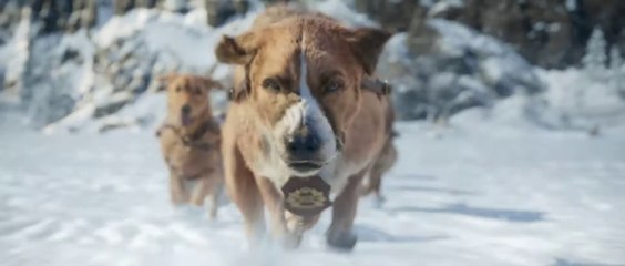 El Llamado Salvaje Película