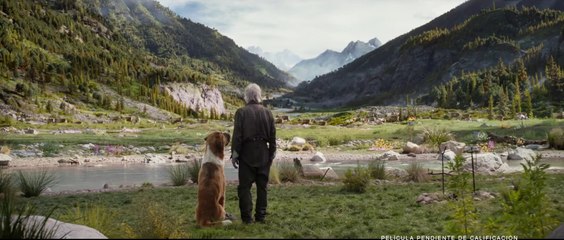 La llamada de lo salvaje Película