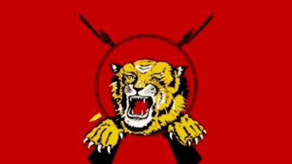 Who Are the Tamil Eelam Militants? | Understanding the Tamil Liberation Fighters