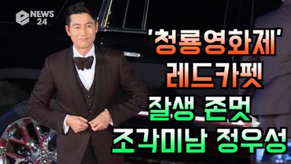 '청룡영화제 레드카펫' 잘생 존멋! 조각 미남 정우성