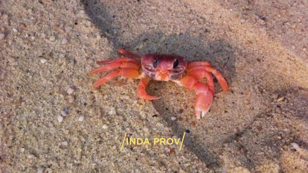 "CABINDA PROVINCE" Top 6 Tourist Places | Cabinda Province Tourism | ANGOLA