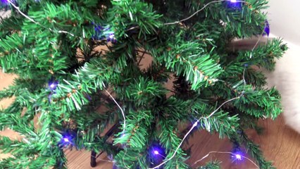 Disney Vampirina - Árvore  de Natal Inspirado na Vampirina -  Disney Junior