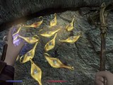 The Elder Scrolls V Skyrim (Modded Skyrim 200  mods): Genie of the Lamp Follower Shiri