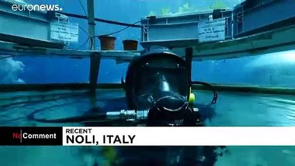 'Deniz altı tarımı' ile bitkiler normalden 2 kat daha hızlı yetişiyor
