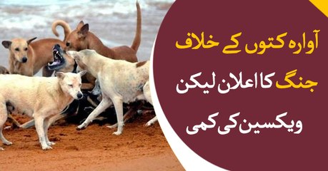 War against dogs but lack of vaccine