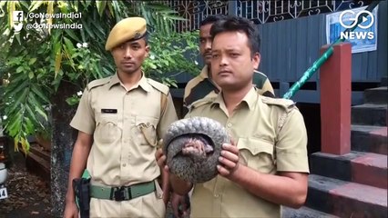 पैंगोलिन को भूटान से बांग्लादेश ले जा रहे पांच तस्कर गिरफ्तार