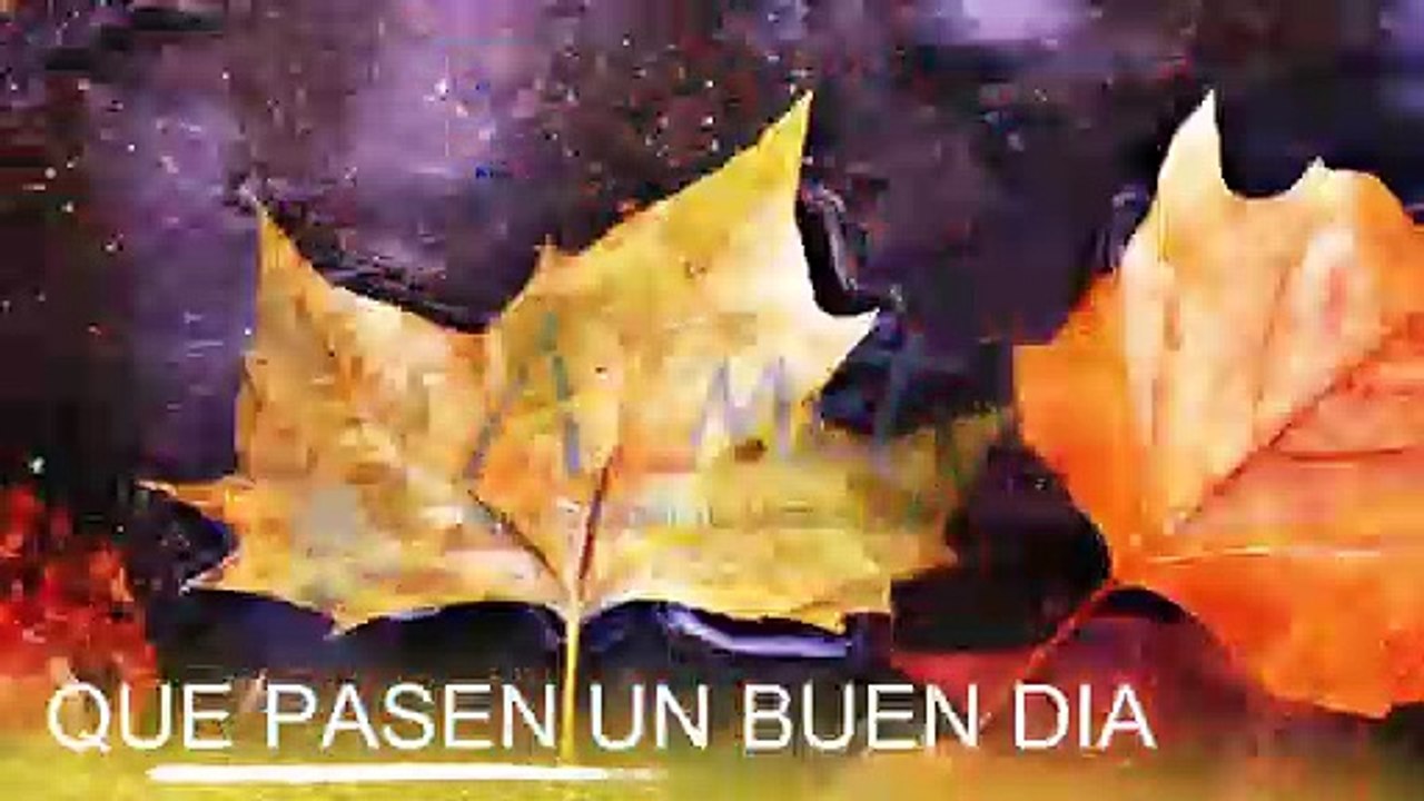 Conoce El Tiempo de Hoy Viernes 22 de Noviembre de 2019