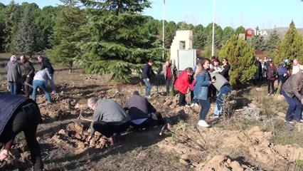 Öğretmenler Günü'ne özel hatıra ormanı