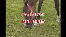 인터넷경마 사설경마사이트 M A 892 점 NET 경마배팅사이트 온라인경마