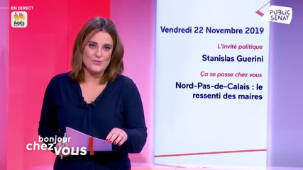 Stanislas Guerini - Public SÃÂ©nat vendredi 22 novembre 2019